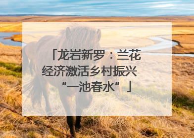 龙岩新罗：兰花经济激活乡村振兴“一池春水”