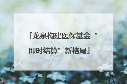 龙泉构建医保基金“即时结算”新格局