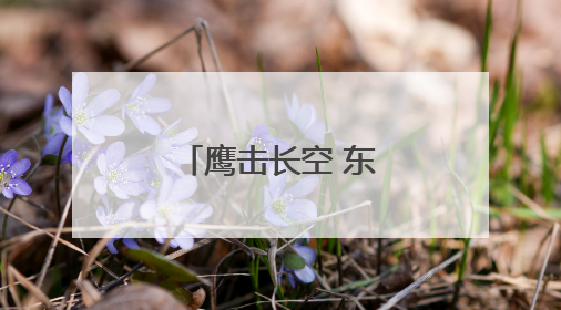 鹰击长空 东部战区空战对抗激烈展开