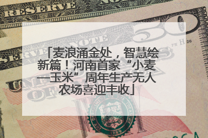 麦浪涌金处，智慧绘新篇！河南首家“小麦—玉米”周年生产无人农场喜迎丰收