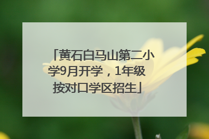 黄石白马山第二小学9月开学，1年级按对口学区招生