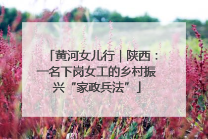 黄河女儿行｜陕西：一名下岗女工的乡村振兴“家政兵法”