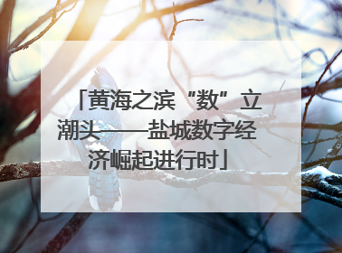 黄海之滨“数”立潮头——盐城数字经济崛起进行时