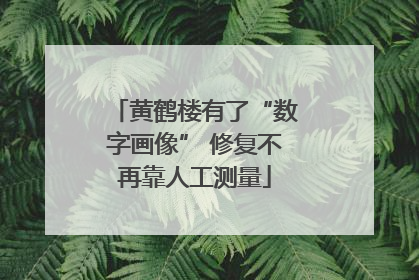 黄鹤楼有了“数字画像” 修复不再靠人工测量