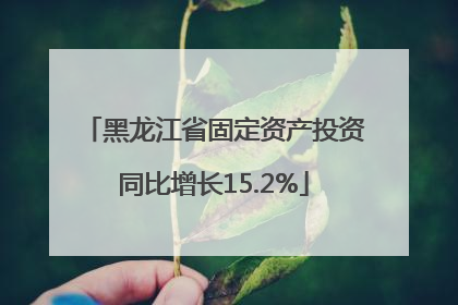 黑龙江省固定资产投资同比增长15.2%