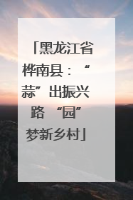 黑龙江省桦南县：“蒜”出振兴路 “园”梦新乡村
