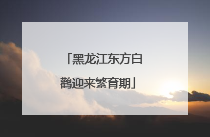 黑龙江东方白鹳迎来繁育期