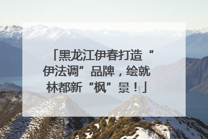 黑龙江伊春打造“伊法调”品牌，绘就林都新“枫”景！