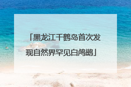 黑龙江千鹤岛首次发现自然界罕见白鸬鹚