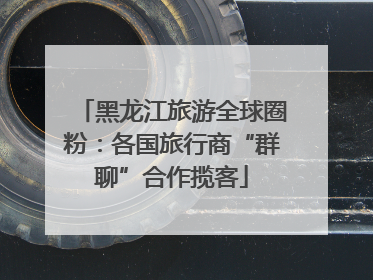 黑龙江旅游全球圈粉：各国旅行商“群聊”合作揽客
