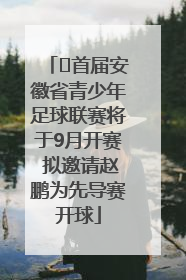 ﻿首届安徽省青少年足球联赛将于9月开赛 拟邀请赵鹏为先导赛开球