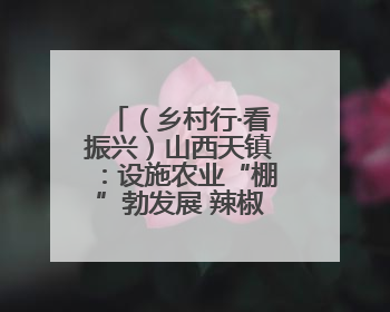 （乡村行·看振兴）山西天镇：设施农业“棚”勃发展 辣椒产业蓄势待发
