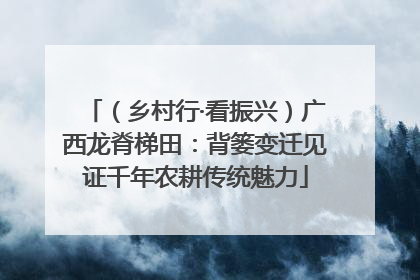 （乡村行·看振兴）广西龙脊梯田：背篓变迁见证千年农耕传统魅力