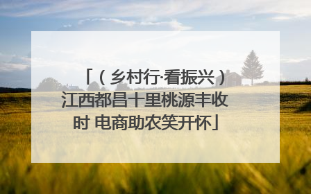 （乡村行·看振兴）江西都昌十里桃源丰收时 电商助农笑开怀