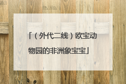 （外代二线）欧宝动物园的非洲象宝宝