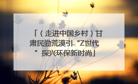 （走进中国乡村）甘肃民勤荒漠引“Z世代”探兴环保新时尚