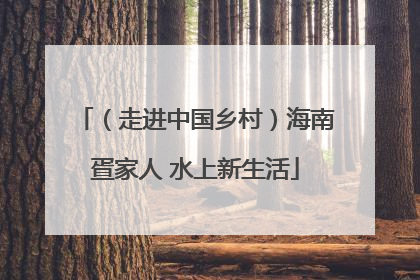 （走进中国乡村）海南疍家人 水上新生活