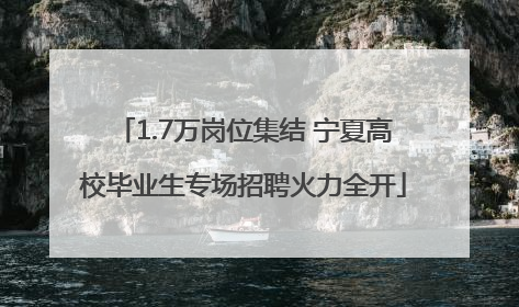 1.7万岗位集结 宁夏高校毕业生专场招聘火力全开
