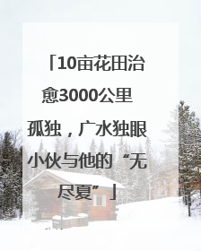10亩花田治愈3000公里孤独，广水独眼小伙与他的“无尽夏”