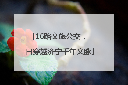 16路文旅公交，一日穿越济宁千年文脉