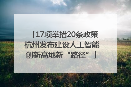 17项举措20条政策 杭州发布建设人工智能创新高地新“路径”