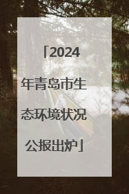 2024年青岛市生态环境状况公报出炉