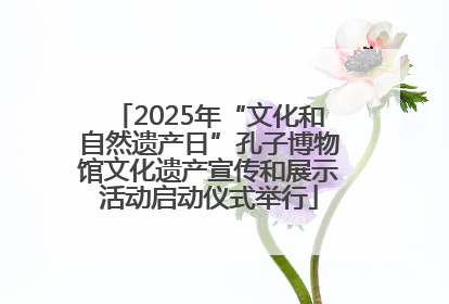 2025年“文化和自然遗产日”孔子博物馆文化遗产宣传和展示活动启动仪式举行