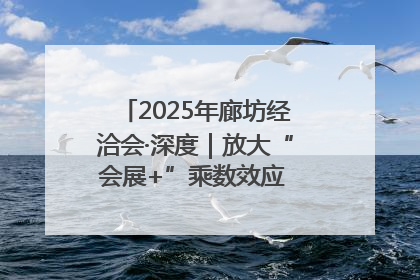 2025年廊坊经洽会·深度｜放大“会展+”乘数效应 打造消费新场景