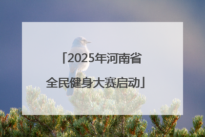 2025年河南省全民健身大赛启动