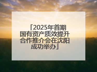 2025年首期国有资产质效提升合作推介会在沈阳成功举办