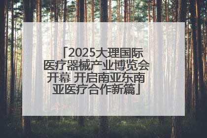 2025大理国际医疗器械产业博览会开幕 开启南亚东南亚医疗合作新篇