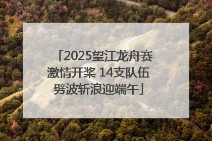 2025望江龙舟赛激情开桨 14支队伍劈波斩浪迎端午