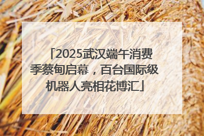 2025武汉端午消费季蔡甸启幕，百台国际级机器人亮相花博汇