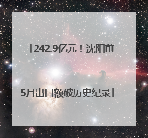242.9亿元！沈阳前5月出口额破历史纪录