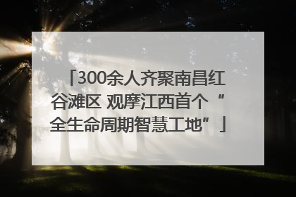 300余人齐聚南昌红谷滩区 观摩江西首个“全生命周期智慧工地”