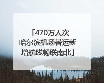470万人次 哈尔滨机场暑运新增航线畅联南北