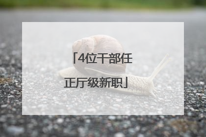 4位干部任正厅级新职