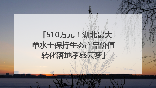 510万元！湖北最大单水土保持生态产品价值转化落地孝感云梦