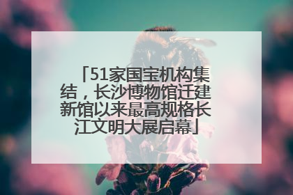 51家国宝机构集结，长沙博物馆迁建新馆以来最高规格长江文明大展启幕
