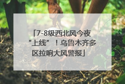 7-8级西北风今夜“上线”！乌鲁木齐多区拉响大风警报