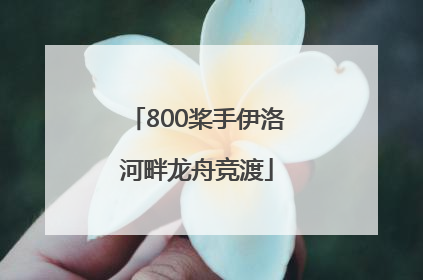 800桨手伊洛河畔龙舟竞渡
