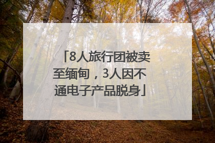 8人旅行团被卖至缅甸，3人因不通电子产品脱身