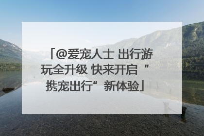 @爱宠人士 出行游玩全升级 快来开启“携宠出行”新体验
