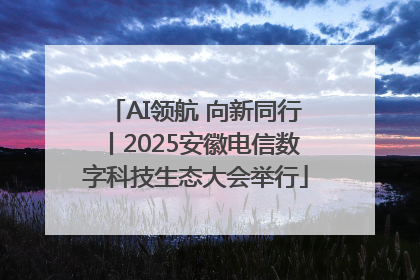 AI领航 向新同行丨2025安徽电信数字科技生态大会举行