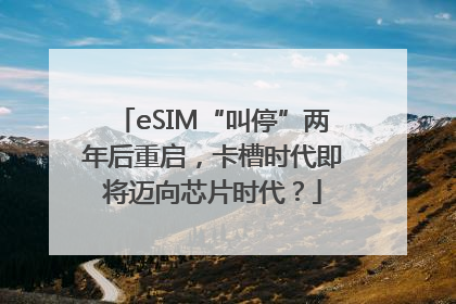 eSIM“叫停”两年后重启，卡槽时代即将迈向芯片时代？